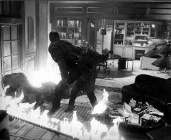 Фото №2 Кинен Айвори Уайанс