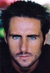 Фото №1 Патрис Колс