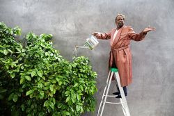 Фото №1 Седрик «Развлекатель»