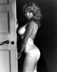 Фото №1 Киттен Нативидад