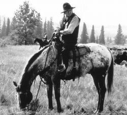 Фото №1 Гордон Тутусис