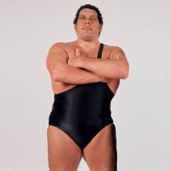 Фото №2 Андре Гигант