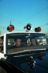 Фото №2 Кент МакКорд