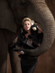 Фото №1 Шэрон Стоун