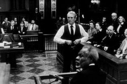 Фото №1 Джо Сенека