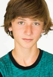 Фото №1 Стил Стеббинс