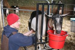 Фото №2 Стив Сандвосс