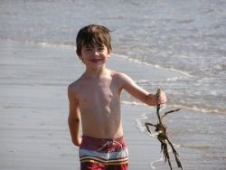 Фото №2 Джеймс Рейли