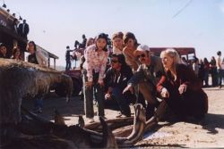 Фото №1 Виктор Браун