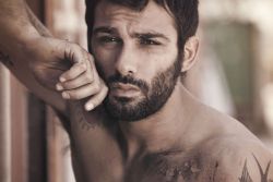 Фото №2 Франческо Арка