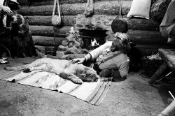 Фото №1 Дэн Хэггерти