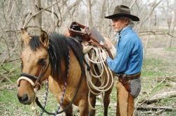 Фото №1 Доран Ингрэм