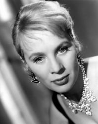 Фото №1 Май Зеттерлинг