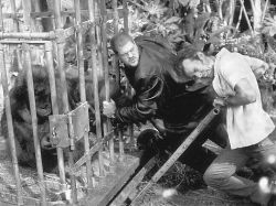 Фото №2 Грегг Краттуэлл