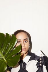 Фото №1 Олив Грэй