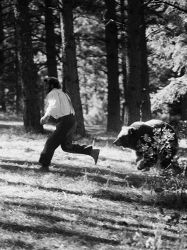 Фото №2 Дэн Хэггерти