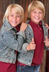 Фото №1 Брекен Палмер