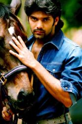 Фото №1 Арья