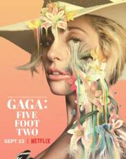 Гага: 155 см (2017)