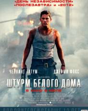 Штурм Белого дома (2013)
