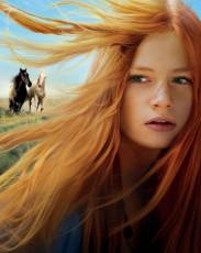 Восточный ветер 2 (2015)