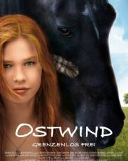 Все части фильма "Восточный ветер"