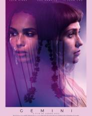 Близнецы (2017)