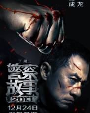 Полицейская история 2013 (2013)