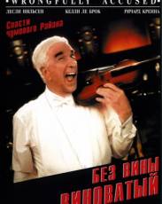 Без вины виноватый (1998)