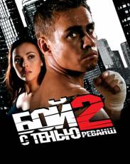 Бой с тенью 2: Реванш (2007)