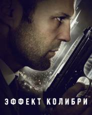 Эффект колибри (2012)
