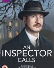 Визит инспектора (2015)