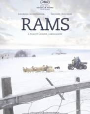 Бараны (2015)