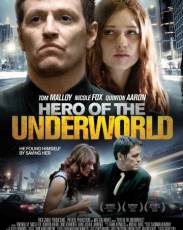 Герой преступного мира (2016)