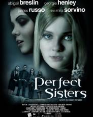 Школьный проект (2013)