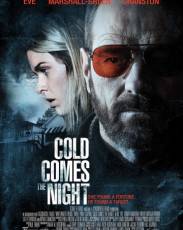 Взгляд зимы (2013)