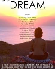 Сон в летнюю ночь (2017)