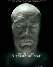 5 чувств страха (2013)