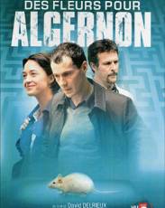 Цветы для Алджернона (2006)