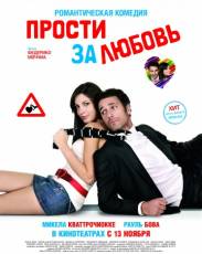 Прости за любовь (2008)