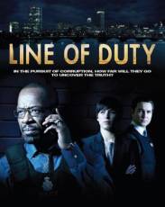 По долгу службы