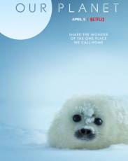 Наша планета