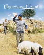 Перелетные свиньи (2011)