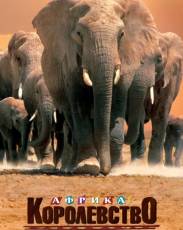 Африка – королевство слонов (1998)