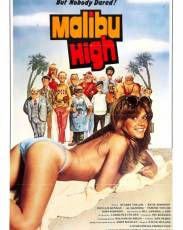 Школа Малибу (1979)