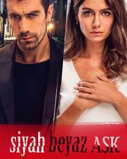 Чёрно-белая любовь