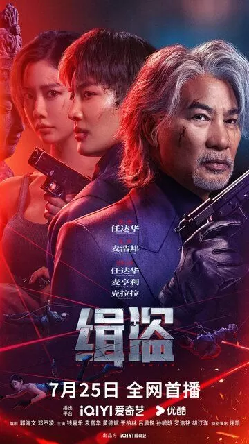 Поймать воров (2025)